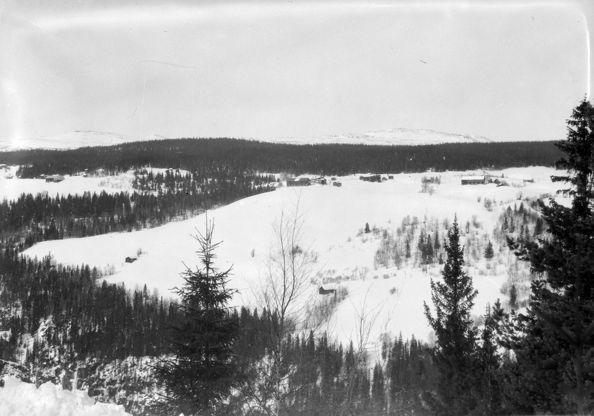 Biltur Støren - Berkåk - Ulsberg på vinterføre