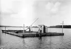 Sjömalmsletning i Vidöstern utanför Hånger, Värnamo, troligen sommaren 1907.