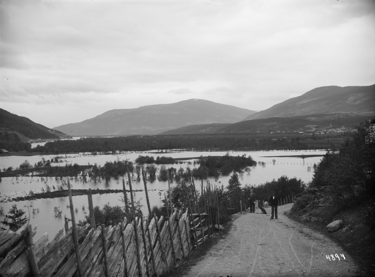 Kort: Ringebu 26/6  1899. Udsigt fra veien til kirken over Vålebro. Landskap, vei, gjerde, menn, hund, vann.