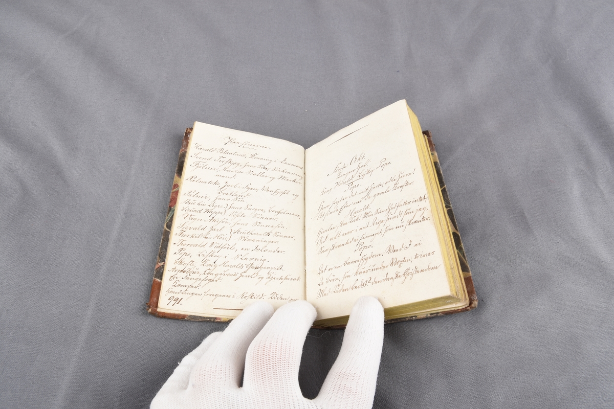 Tittelbladet er håndskrevet og det er veldig vanskelig å tyde den nederste teksten:

Forlagt af "Lrammar"? Trykt for "Lramm"?