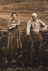 Jenny og Magnus tek opp poteter. Jenny og Magnus Matland på 