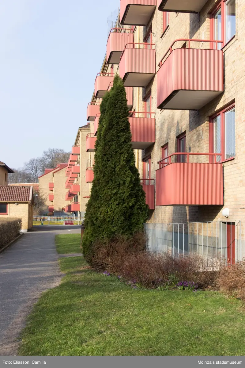 Innergård mellan Bergmansgatan och Tempelgatan, år 2015. Bild 6: innergård bakom Bergmansgatan. Bild 7: innergård bakom Tempelgatan. Dokumentation av platsen innan rivning och nybyggnation.