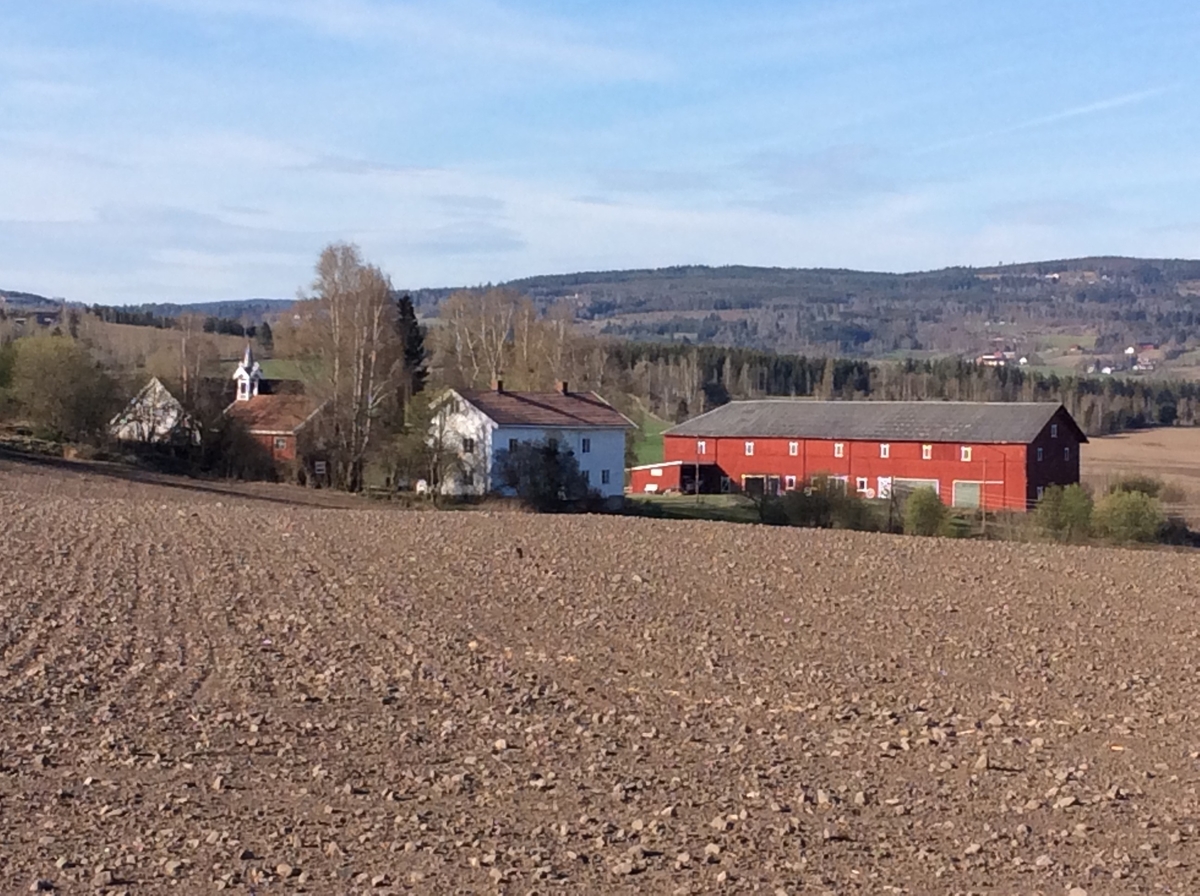 Klokketårnet på Dæli er et stort og forseggjort tårn i rik sveitserstil, som troner høyt over tunet. Plasseringen er drengestuen. Tårnet har et kryssformet saltak med kjegleformet midtparti med rik sveitserstildekor både på tak, møne og konstruksjon. 
Hele tårnet er malt hvitt, med skifertak, og forteller om velstand. Det er ingen årstall eller inskripsjoner på tårnet, men riksløven preger værhanen. På  Dæli ble klokken i all hovedsak brukt som matklokke, men også for å varsle ulykker og brann. 
Tårnet er i god stand, og forteller om god vedlikehold.