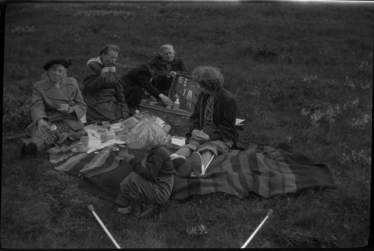 Frida Johannessen sammen med et turfølge på Island. Det er bilder fra pikniker og gåturer. Frida Johannessen er på alle bildene, bl.a. til venstre på bilde nr. 1.