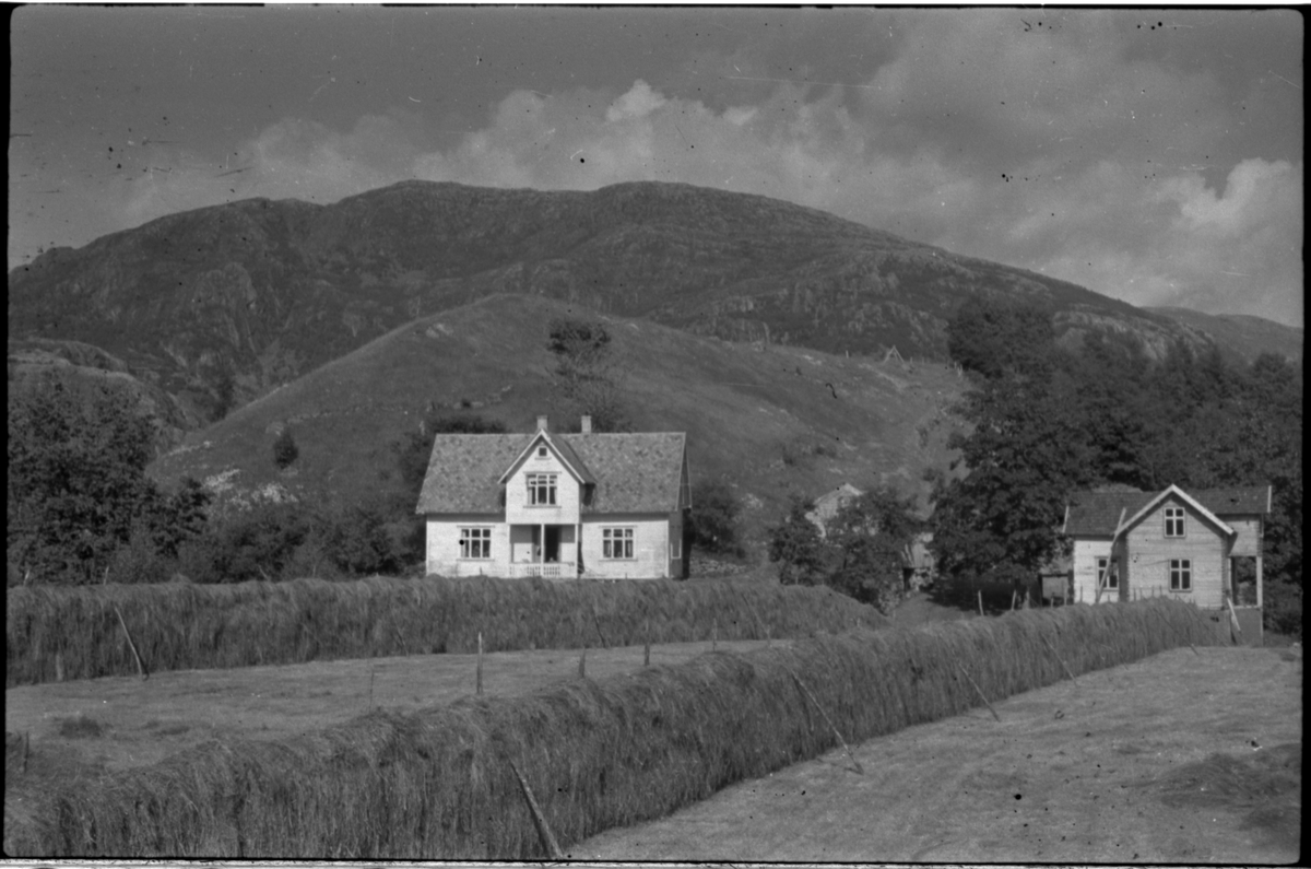 Flere bilder av landskapet, stratigrafi og gårder på Vadla ved Jøsenfjorden. Det er også bilder av folk på Vadla, blant annet Frida Johannessen på bilde nr. 2, 30, 31, 34 og sammen med Paul Johannessen på bilde nr. 35.