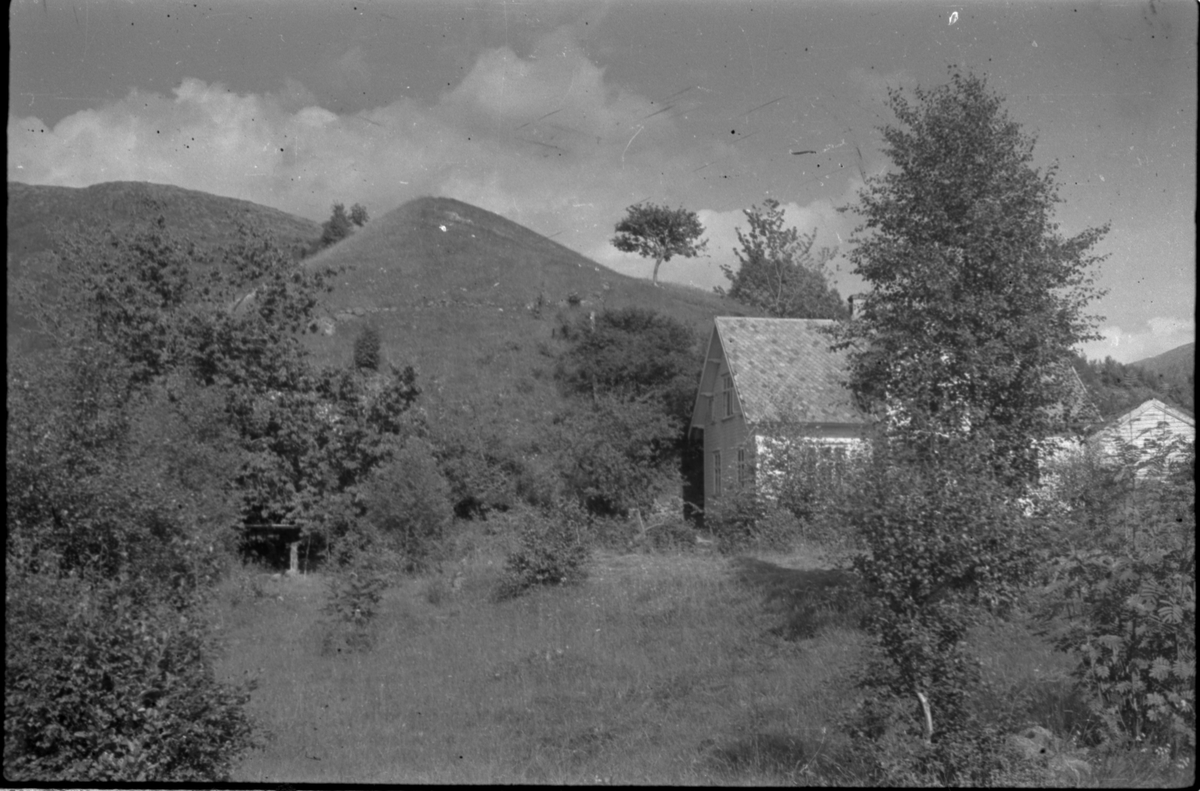 Flere bilder av landskapet, stratigrafi og gårder på Vadla ved Jøsenfjorden. Det er også bilder av folk på Vadla, blant annet Frida Johannessen på bilde nr. 2, 30, 31, 34 og sammen med Paul Johannessen på bilde nr. 35.