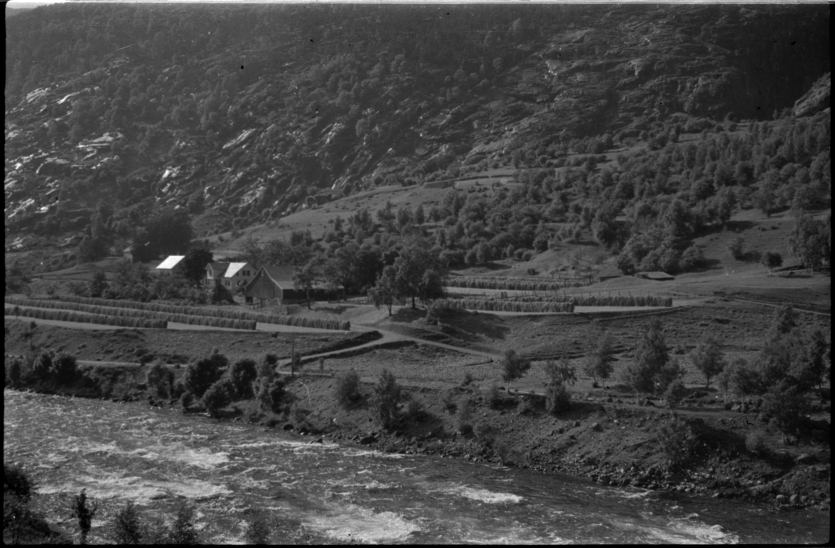 Flere bilder av landskapet, stratigrafi og gårder på Vadla ved Jøsenfjorden. Det er også bilder av folk på Vadla, blant annet Frida Johannessen på bilde nr. 2, 30, 31, 34 og sammen med Paul Johannessen på bilde nr. 35.