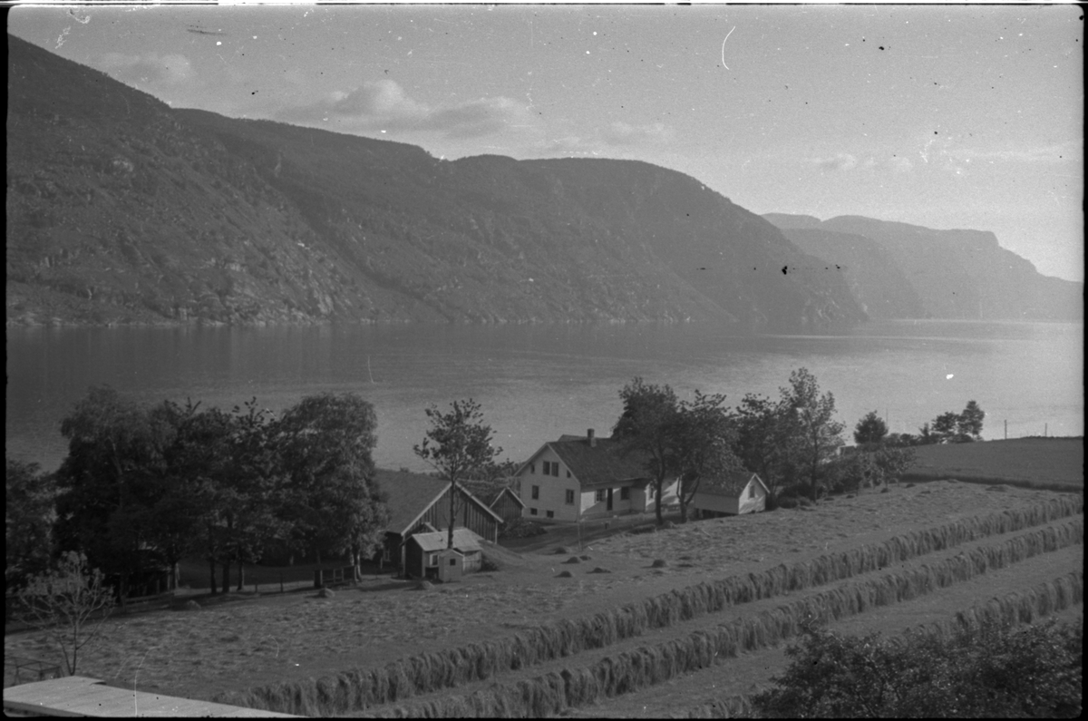 Flere bilder av landskapet, stratigrafi og gårder på Vadla ved Jøsenfjorden. Det er også bilder av folk på Vadla, blant annet Frida Johannessen på bilde nr. 2, 30, 31, 34 og sammen med Paul Johannessen på bilde nr. 35.