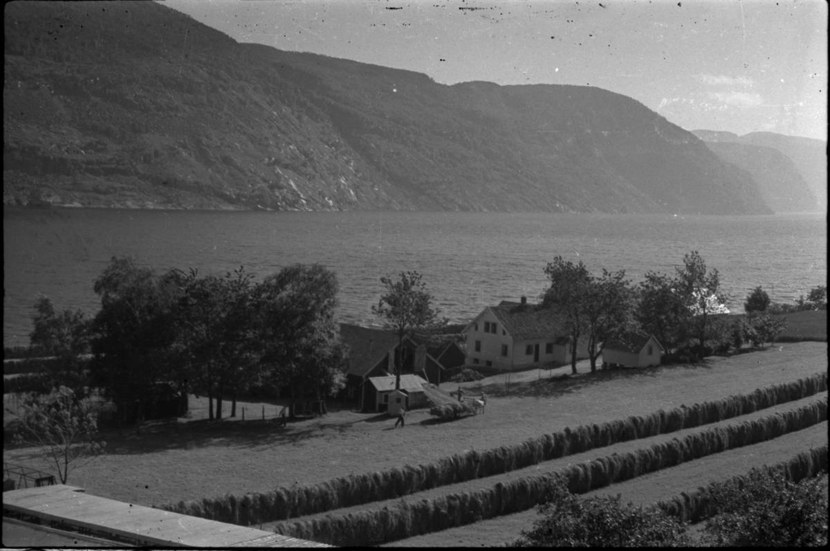 Flere bilder av landskapet, stratigrafi og gårder på Vadla ved Jøsenfjorden. Det er også bilder av folk på Vadla, blant annet Frida Johannessen på bilde nr. 2, 30, 31, 34 og sammen med Paul Johannessen på bilde nr. 35.