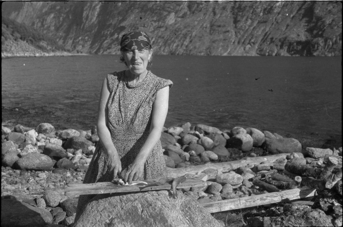 Flere bilder av landskapet, stratigrafi og gårder på Vadla ved Jøsenfjorden. Det er også bilder av folk på Vadla, blant annet Frida Johannessen på bilde nr. 2, 30, 31, 34 og sammen med Paul Johannessen på bilde nr. 35.