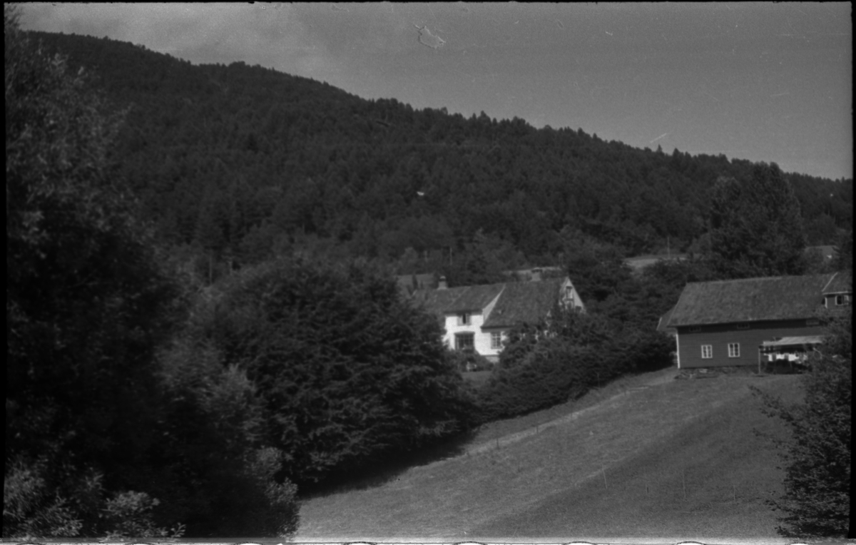 Bilder fra turer til Hogganvik, Vikedal, Hardanger, Bergen, Hafrsfjord, Hovda gård og Trelaneset ved Sola. Frida Johannessen spiser bær fra en grein (bilde 1-2). Bilde nr. 3 er av Yrkjefjorden sett fra Hogganvik i Vindafjord kommune. Det er flere bilder av Hogganvik med folk på verandaen på "Lars Hertevigs hus", i hagen og ved den såkalte "St. Hans-stranda" nedenfor (bilde nr. 4-13). Bilde nr. 17 er tatt foran Vikedal gjestgiveri. Bilde 27-30 ser ut til å være fra innerst i Hafrsfjord fra Sørnesvågen og Grannesvågen, nordøst for Sola flyplass.