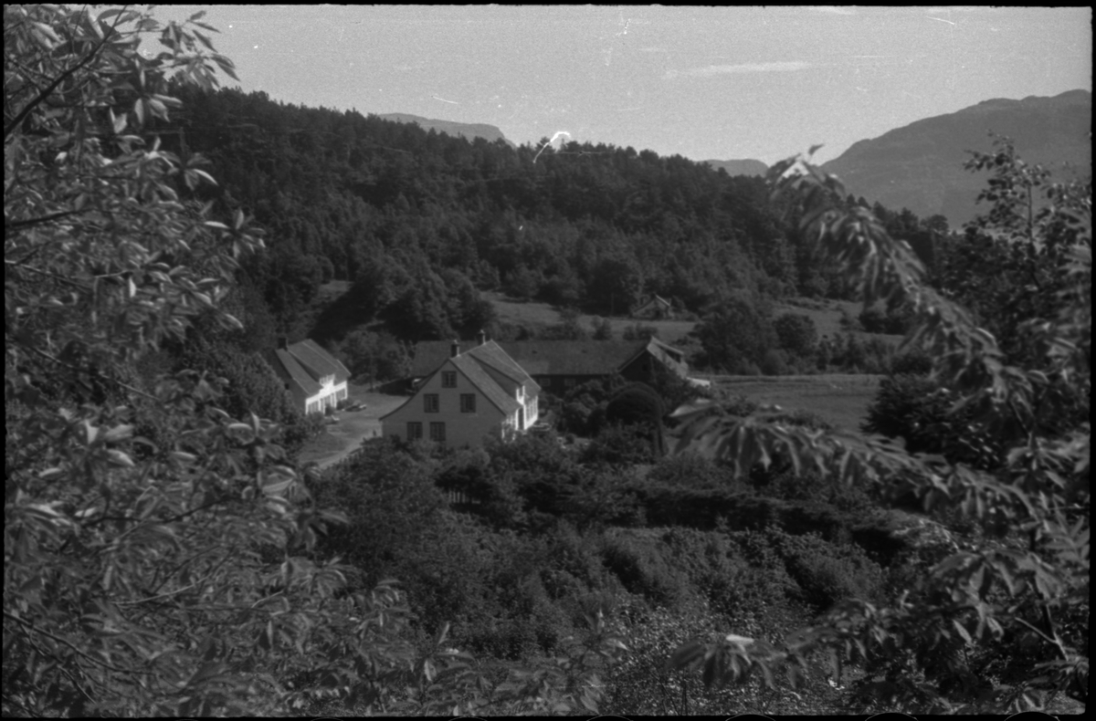 Bilder fra turer til Hogganvik, Vikedal, Hardanger, Bergen, Hafrsfjord, Hovda gård og Trelaneset ved Sola. Frida Johannessen spiser bær fra en grein (bilde 1-2). Bilde nr. 3 er av Yrkjefjorden sett fra Hogganvik i Vindafjord kommune. Det er flere bilder av Hogganvik med folk på verandaen på "Lars Hertevigs hus", i hagen og ved den såkalte "St. Hans-stranda" nedenfor (bilde nr. 4-13). Bilde nr. 17 er tatt foran Vikedal gjestgiveri. Bilde 27-30 ser ut til å være fra innerst i Hafrsfjord fra Sørnesvågen og Grannesvågen, nordøst for Sola flyplass.