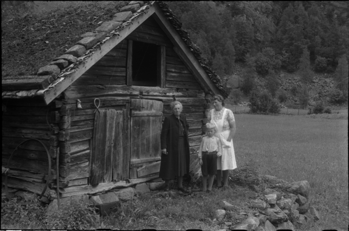 Frida Johannessen sammen med Liva Veka og sønnen, Lars Veka. Lars holder ei kattunge. De står på et tun med eldre hus på Veka i Suldal.