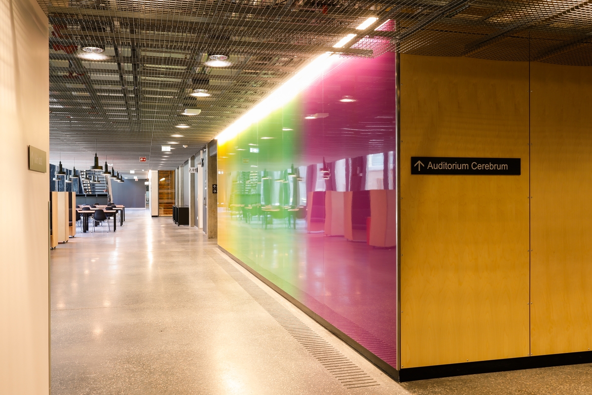 Arbeidet består av fargekomposisjoner som graderes over i hverandre og skaper bevegelse på veggen og i rommet.