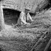 Halmtaksläggning Oktorpsgården, Skansen, 1965