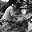 Halmtaksläggning Oktorpsgården, Skansen, 1965