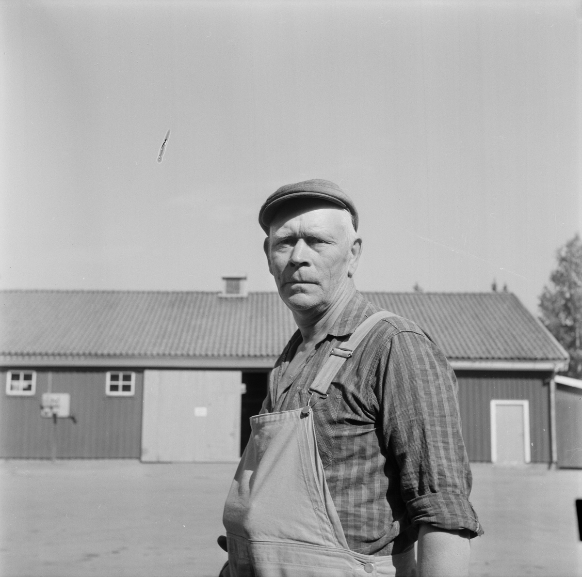 Skärplingebon Alvar Jansson pensioneras, Österlövsta socken, Uppland, juli 1971