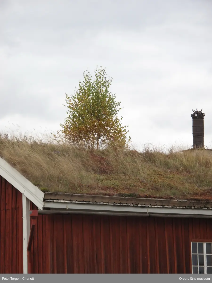 Siggebohyttans bergsmansgård, takarbeten på mangårdsbyggnaden och loftboden.

1-2: Loftboden före åtgärder. Mullåsen och delar av takfoten är rötskadade.
3-4: Mangårdsbyggnaden före åtgärder. Mullåsen och delar av takfoten är rötskadade.
5: Nya mullåsar.
6-8: Torven bakom mullåsen har tagits bort. Under torven ligger sinuskorrugerad plåt. Längst ner på takfallet en fotplåt och mot vindskivan ytterligare en plåt. Under torven syns också grus.
9-10: Takfoten täcktes med ny plåt och näver.
11: Loftbodens östra sida. Arbetet på taket är färdigt.
12-17: Arbetet på mangårdsbyggnaden är färdigt.
18-19: Takfoten på loftboden var delvis kraftigt rötskadad. Här har rötskadade delar plockats bort.
20: En av de befintliga krokarna som mullåsen ligger på.
21-22: Takfoten på loftboden var delvis kraftigt rötskadad. Här har rötskadade delar plockats bort.
23-28: Loftboden och mangårdsbyggnaden efter åtgärder.

Objekt: Mangårdsbyggnaden och loftboden vid Siggebohyttans bergsmansgård
Ort: Siggebohyttan
Gata/kvarter/fastighet: Siggebohyttan 2:2
Stad: 
Socken: Linde socken
Kommun: Lindesbergs kommun
Län: T
År: 2016

Foto:	1-28: Charlott Torgén, Örebro läns museum