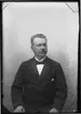 Direktör Teodor Holmberg