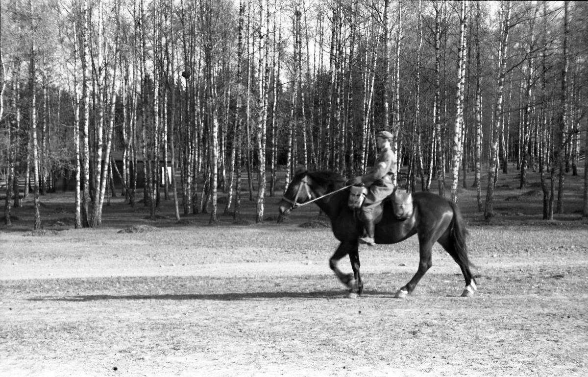 Fem bilder av en uidentifisert militær rytter med sersjants grad ved Hærens Hestskole på Starum mai 1953.