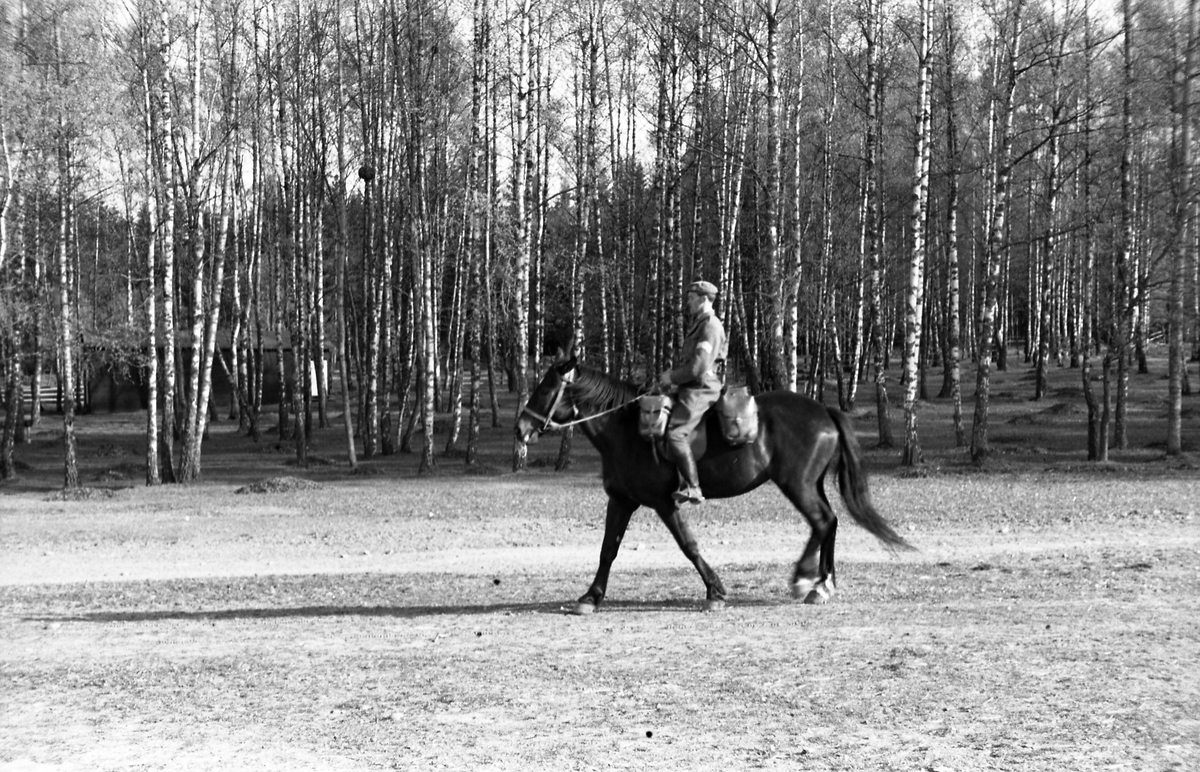 Fem bilder av en uidentifisert militær rytter med sersjants grad ved Hærens Hestskole på Starum mai 1953.