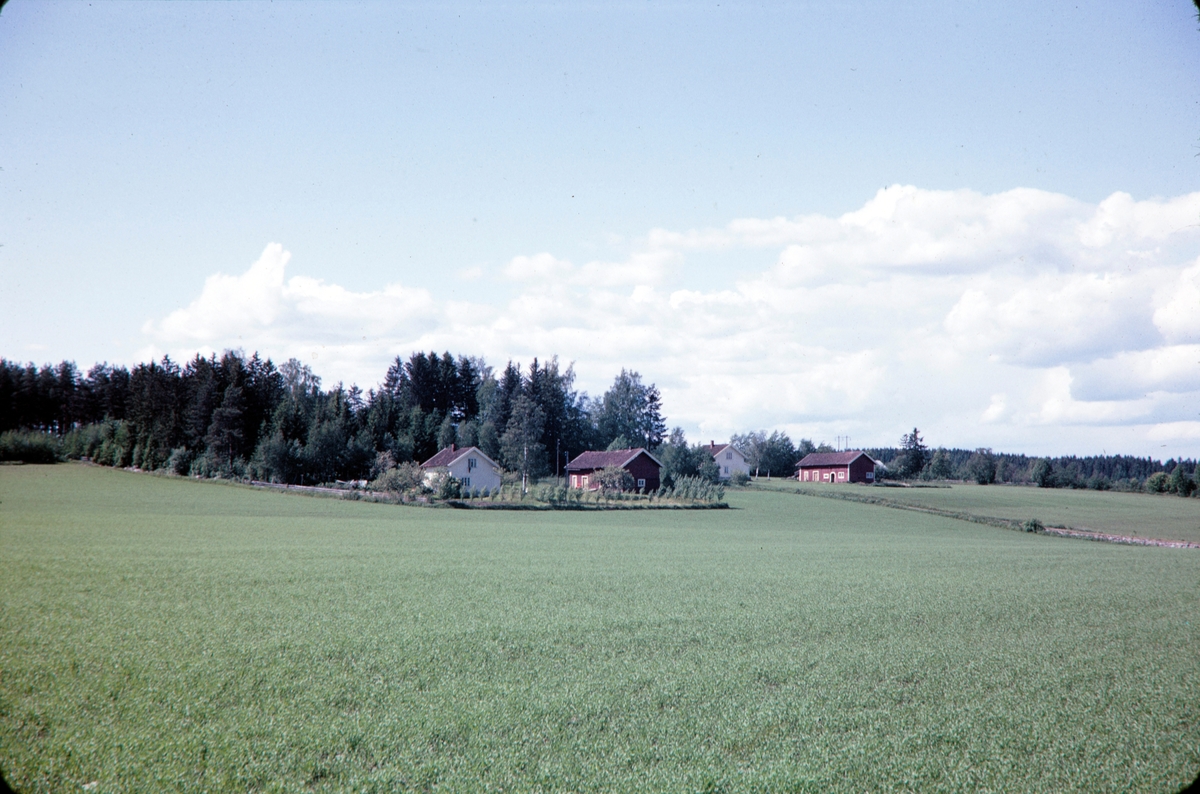 Jønsberg Landbruksskole. 