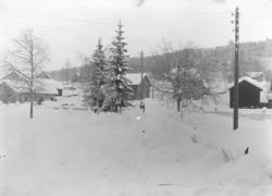 Otto Mejlænders fotosamling, Trysil, Hedmark