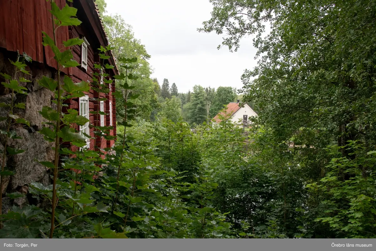 Foto dokumentation av området kring Järle kvarn 2018-08-23