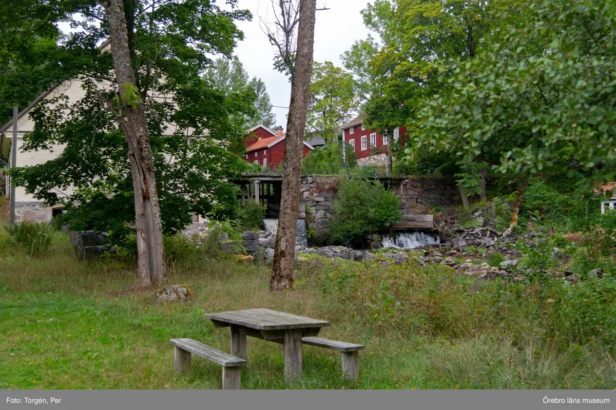 Foto dokumentation av området kring Järle kvarn 2018-08-23