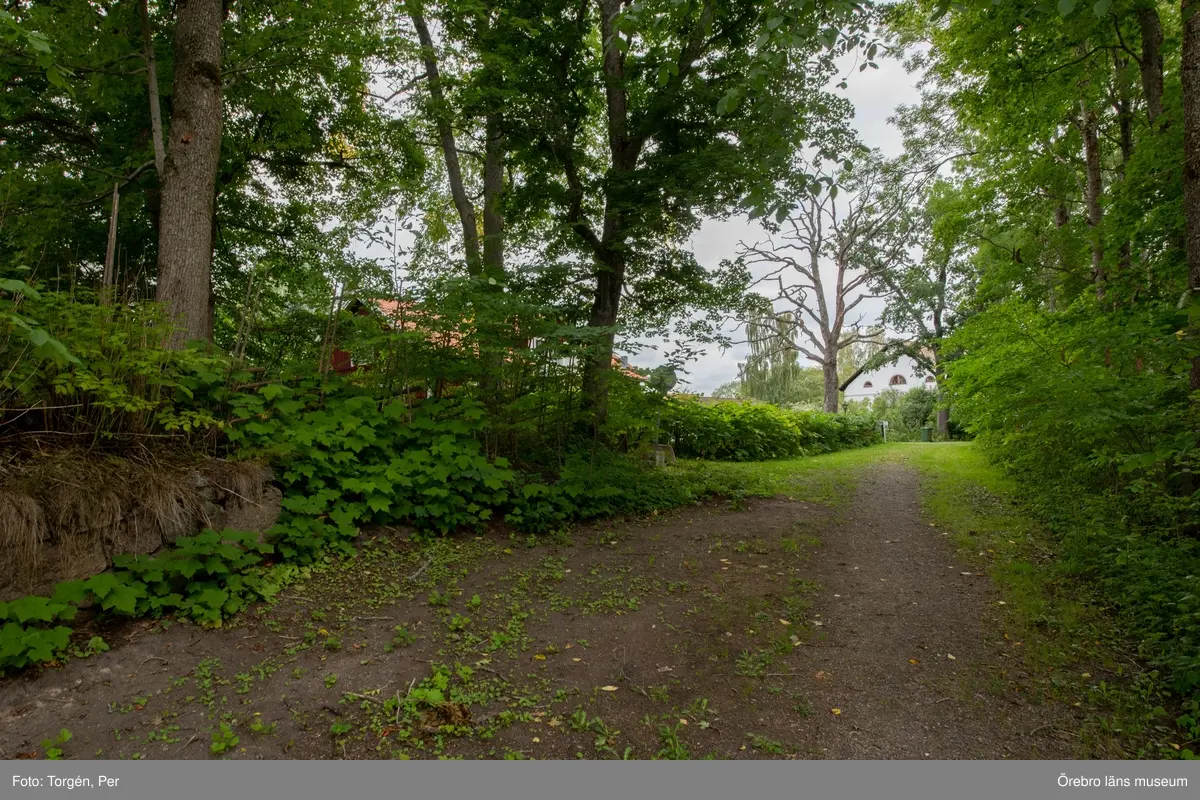 Foto dokumentation av området kring Järle kvarn 2018-08-23