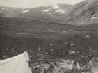Expeditionen till Langskarnesen, Norge, 1913.