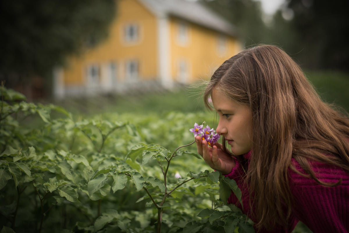 Jente som lukter på ein potetblomst