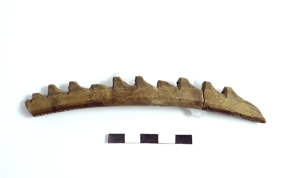 Sågtandad, täljd harpunspets med elva hullingar och snedskuren spets. Avbruten i två delar efter andra hullingen. Plan undersida. Harpunen har genom torkning fått en något böjd form.