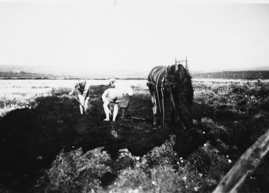 I torvmyra på Steinsland ca 1947. Ingrid, Janny Steinsland f. Aanestad (1931 - 1990) og Ingolf Steinsland (1926 - 2004)