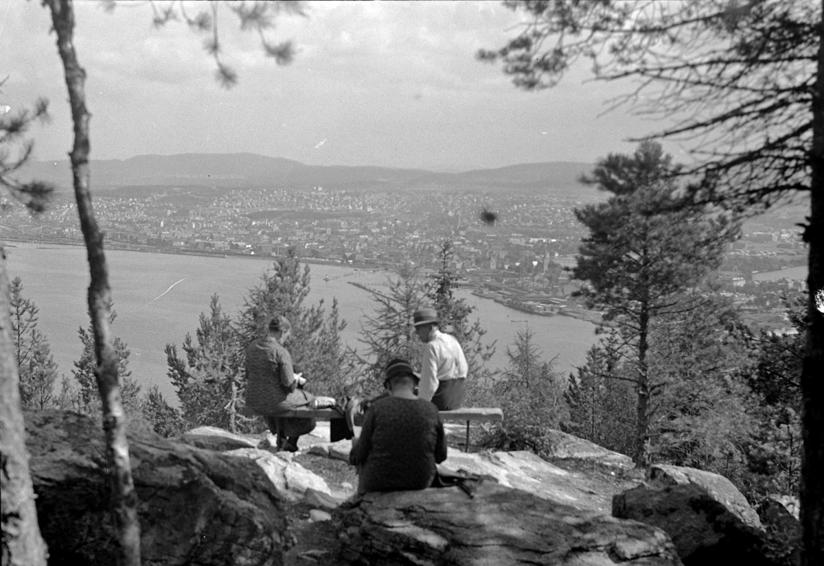 Parti fra Elsterparken