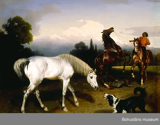 Hästar, ryttare och hund i naturen på landsbygden som omger Rom, Italien. (Romerska campagnan; Campagna Romana.)