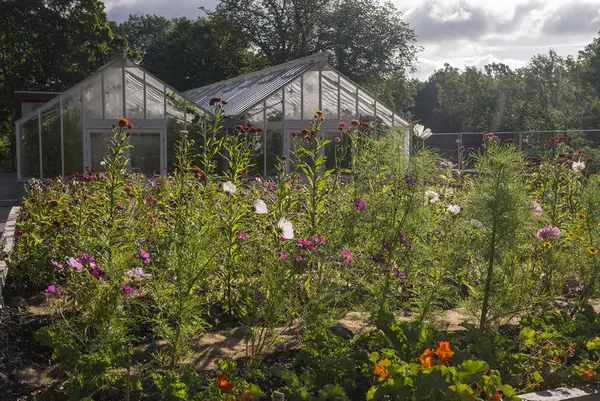 Drivhuset på Gartneriet med en fargerik blomstereng foran. 