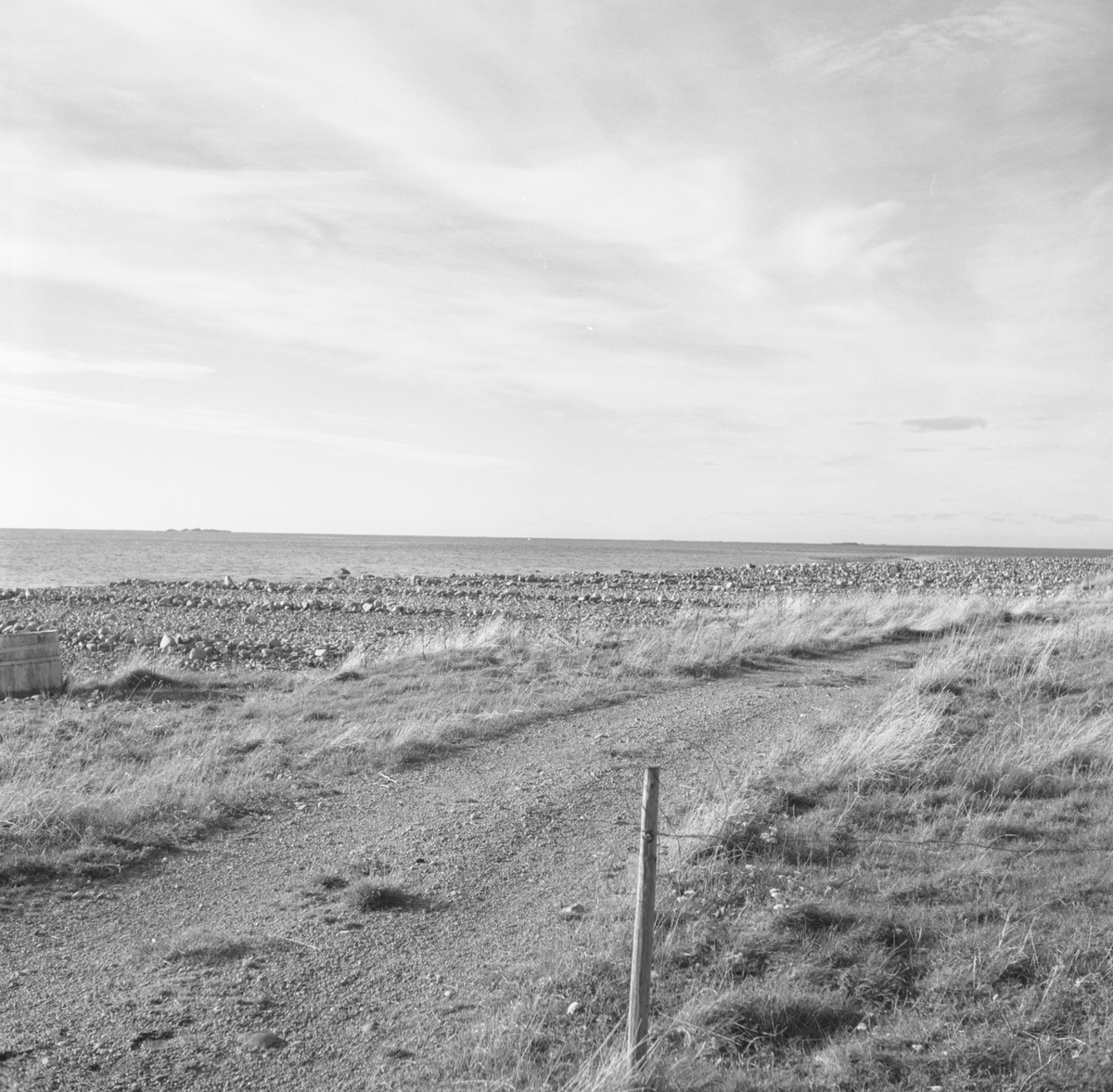 Landskapsbilder fra strandområdet ved Giskeøygarden.