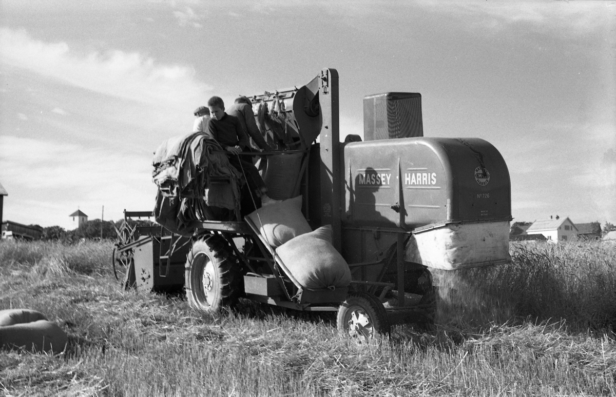 Kåre Fodstad kjører skurtresker i Rossvang på Kraby, september 1953. De andre personene er ikke identifisert. Åtte bilder.