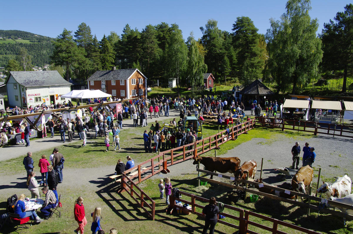 Folk og fe på festplassen på Valdres Folkemuseum