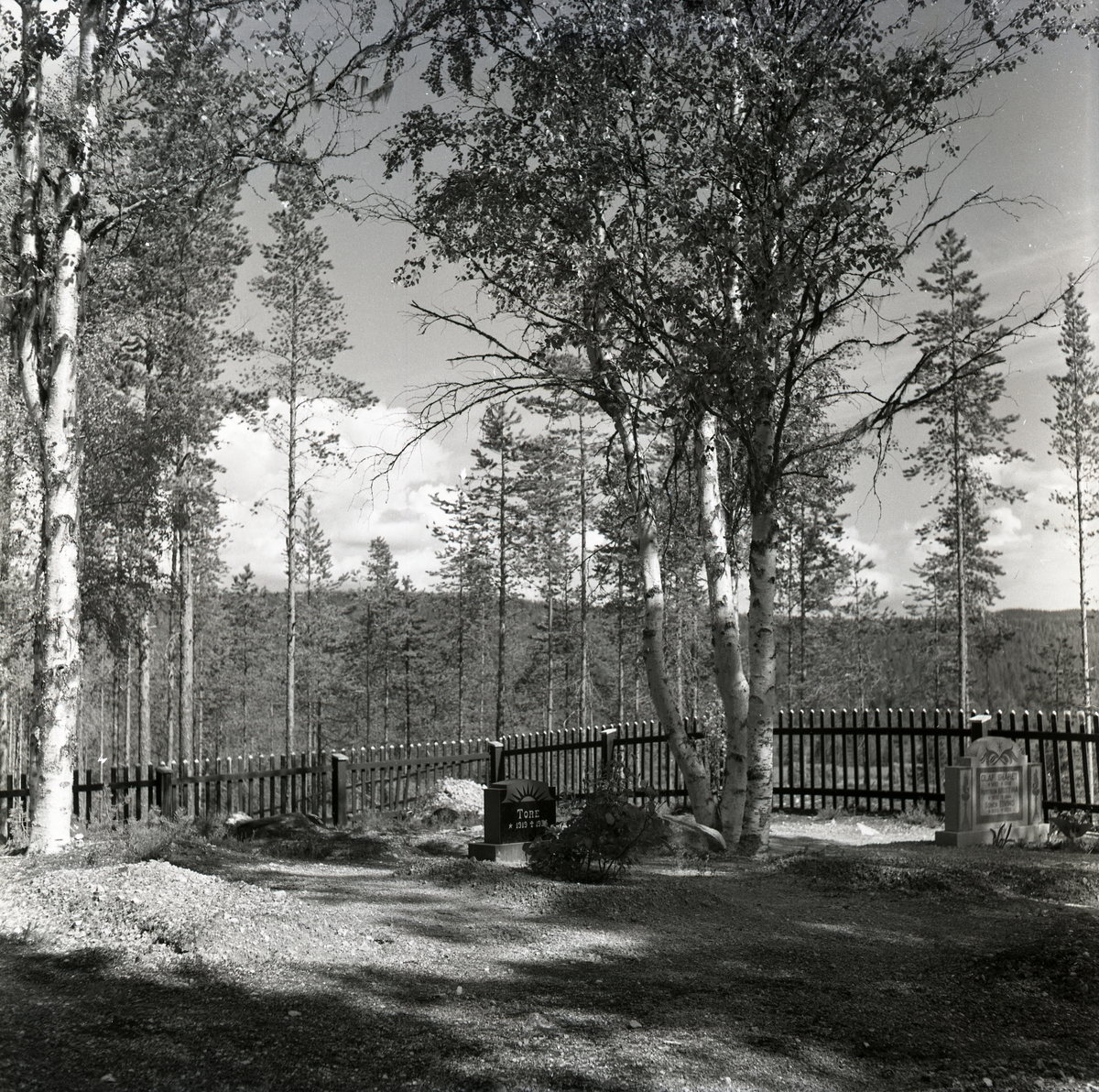 Två gravstenar vid Rullbo kyrkogård i Los, augusti 1950.