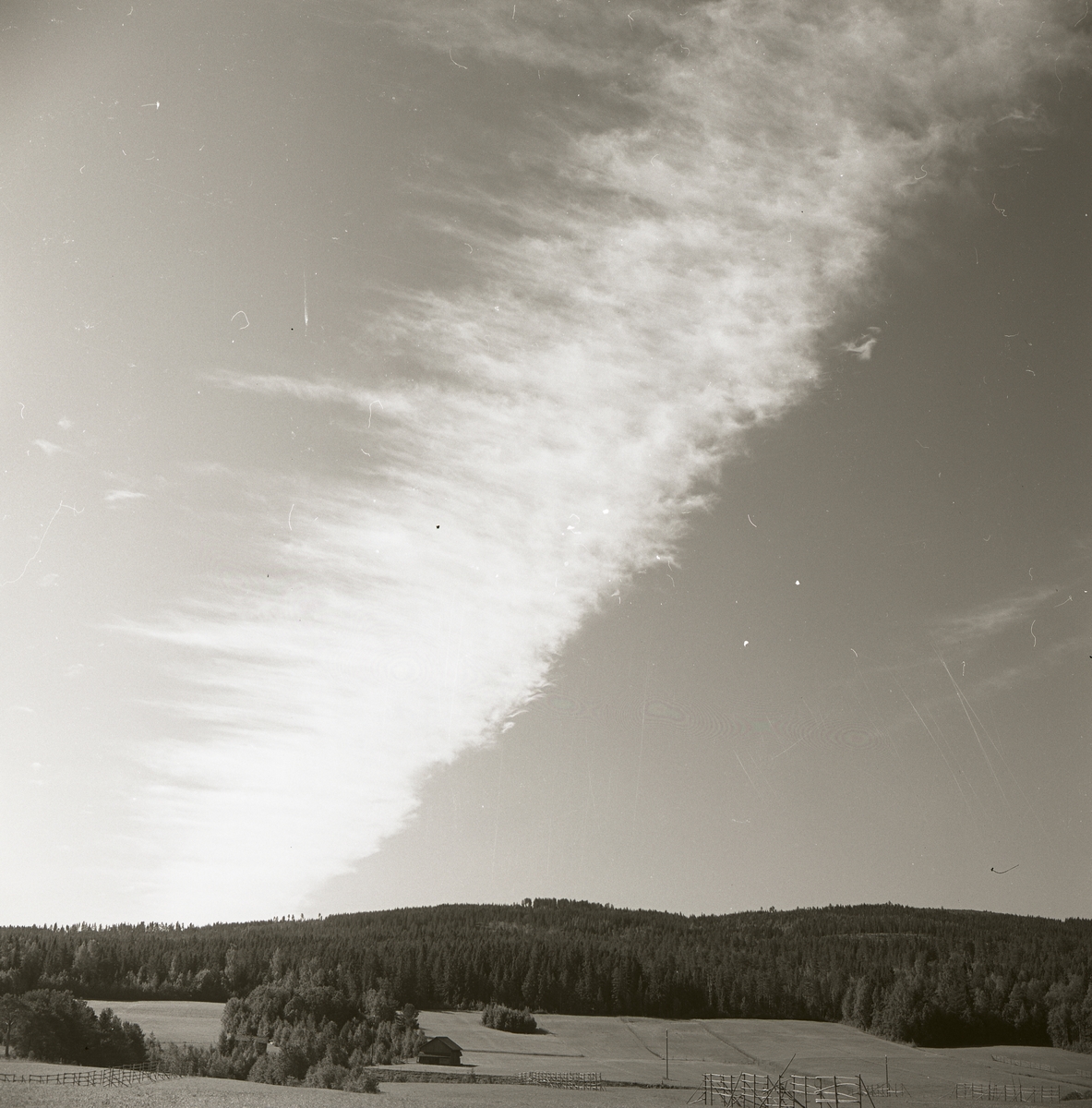 Vy över skog och åkermark under en himmel med ett fjädermoln, Trönö den 5 augusti 1964.