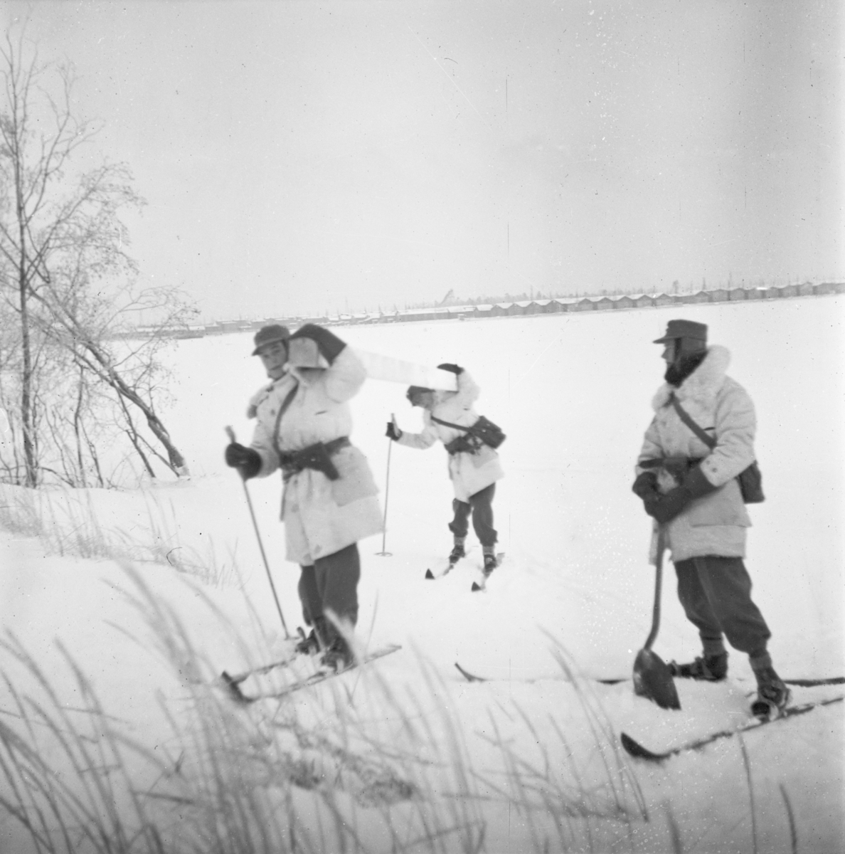 Transport av trästock på skidor till bygge av flygplanvärn vid Svenska frivilligkåren i Finland, F 19. Tre militärer i vinteruniform i terräng.