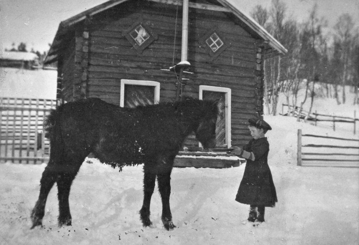 Lita jente med hest. Anna Korsvoll (13.2.1901-30.12.1988),g. Klemetplass.