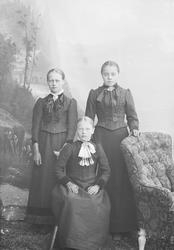 Protokollen sier Sigrid Olsdatter Nordsveen, gruppe, antagel