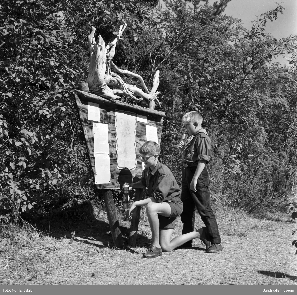 I juli 1959 anordnade Svenska Scoutförbundet sitt stora internationella läger på Rödön utanför Alnö. På första bilden ses lägerledaren Tage Allegård anlända med en grupp pojkscouter för några intensiva veckor på ön. Lägret hade förberetts under ett helt år och dagarna innan hade 70 pojkscouter och ledare hjälpts åt att bygga upp de olika lägerbyarna, som fick namn efter olika fyrar.  SCA hade upplåtit en pråm som låg för ankar i hamnen fylld med de matvaror som krävdes för att mätta de cirka 800 deltagarna.