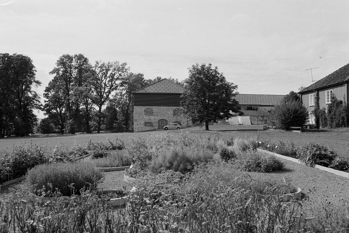 HDH. 100. Urtehaven, urtehagen på Hedmarksmuseet. Hagen ble etablert i 1975, utvidet i 1989 og inneholder nå ca 400 forskjellige planteslag. 