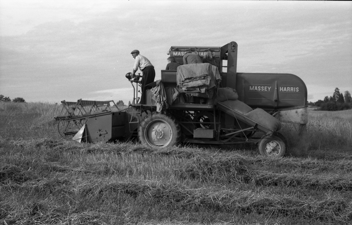 Kåre Fodstad kjører skurtresker i Rossvang på Kraby, september 1953. De andre personene er ikke identifisert. Åtte bilder.