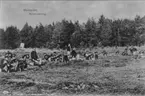 Övning av skjutning med kulspruta på livgrenadjärregementet på Malmen. Avfotografering av vykort.