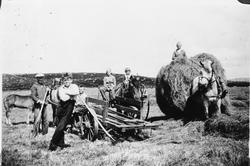 I høyonna på Haugland nedre, høykjerre, høyrive og høylass.